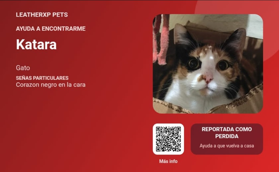 Ejemplo de imagen para compartir una alerta de mascota perdida